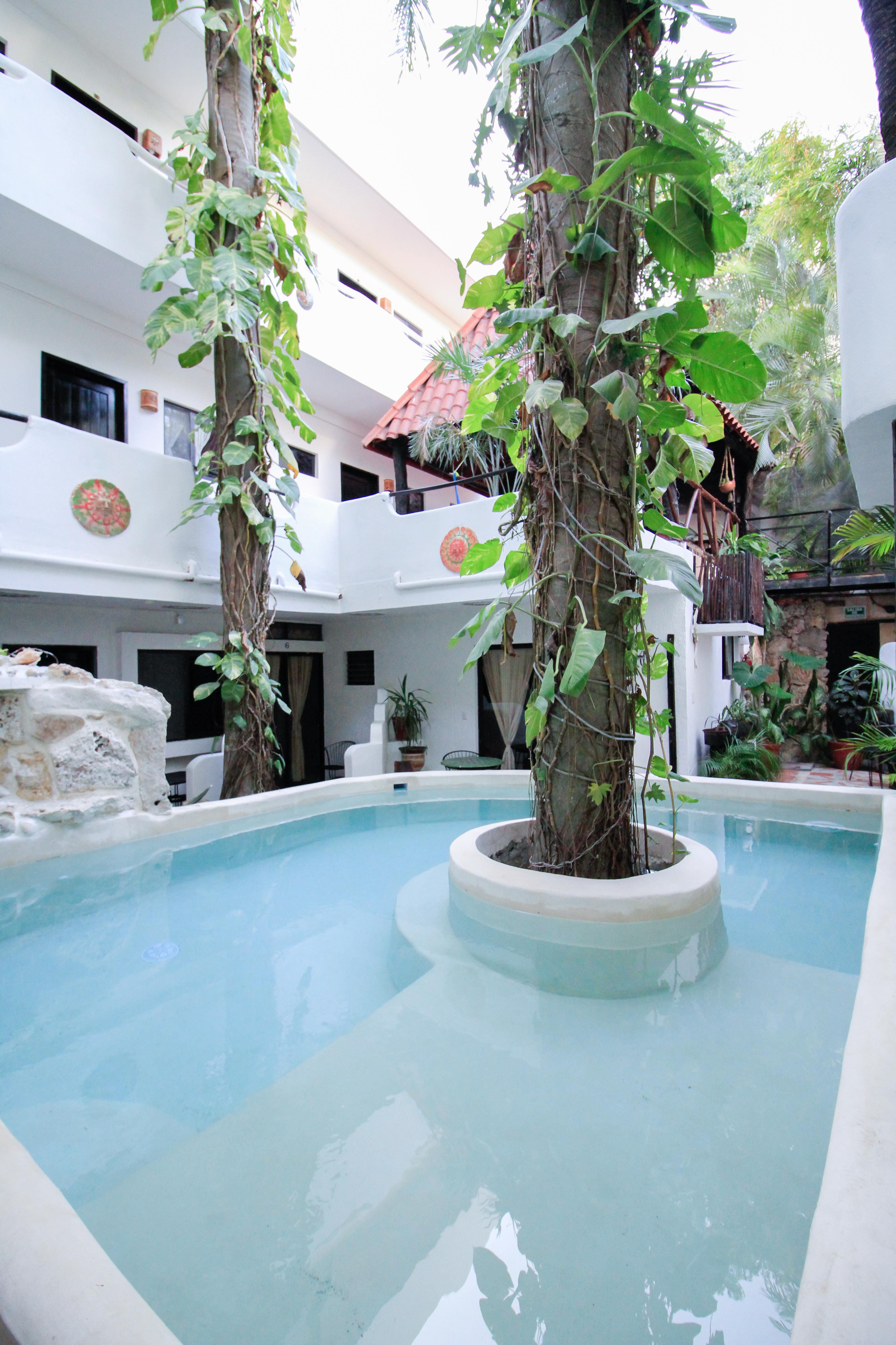 Moonshine Hotel Playa del Carmen Eksteriør billede