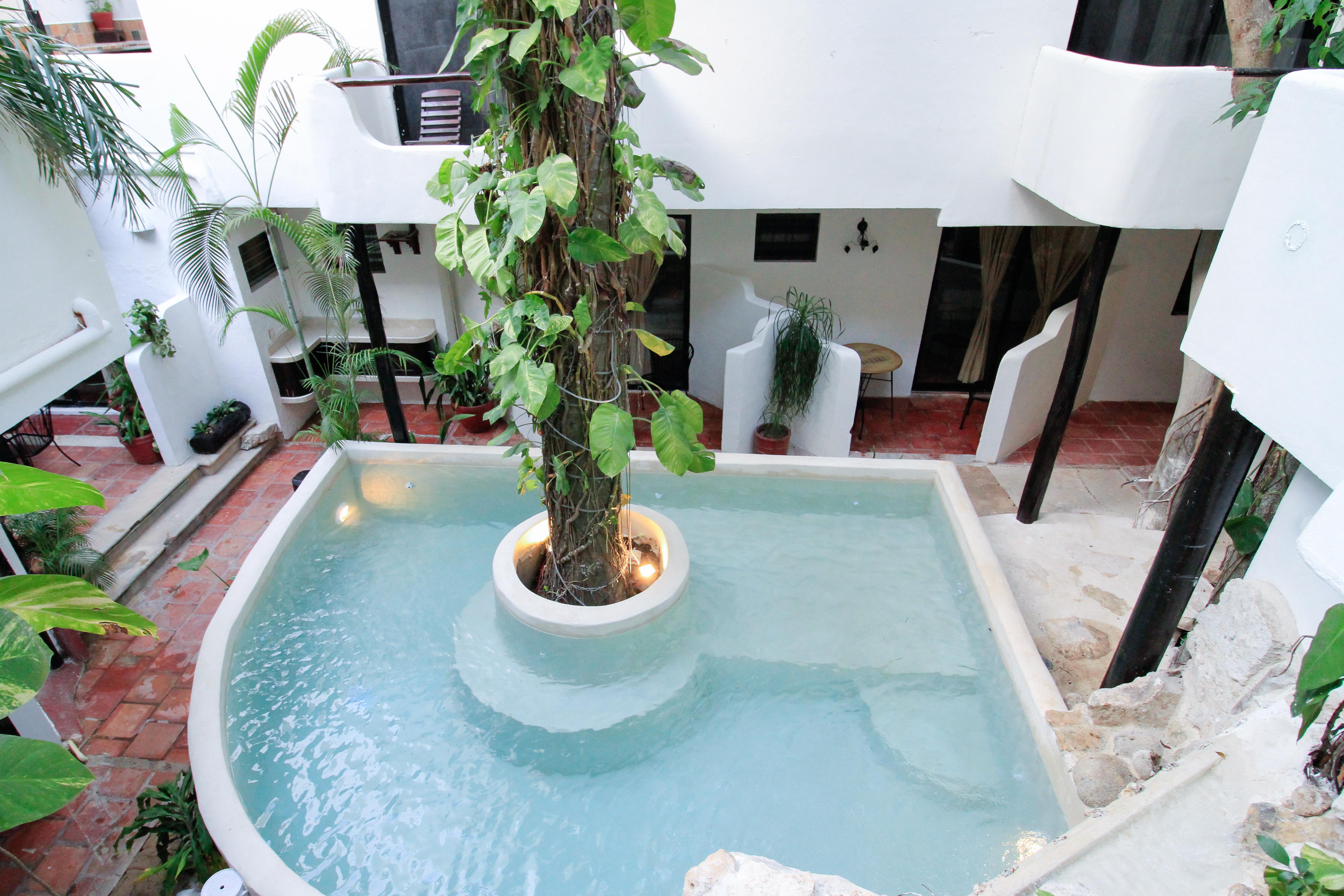 Moonshine Hotel Playa del Carmen Eksteriør billede