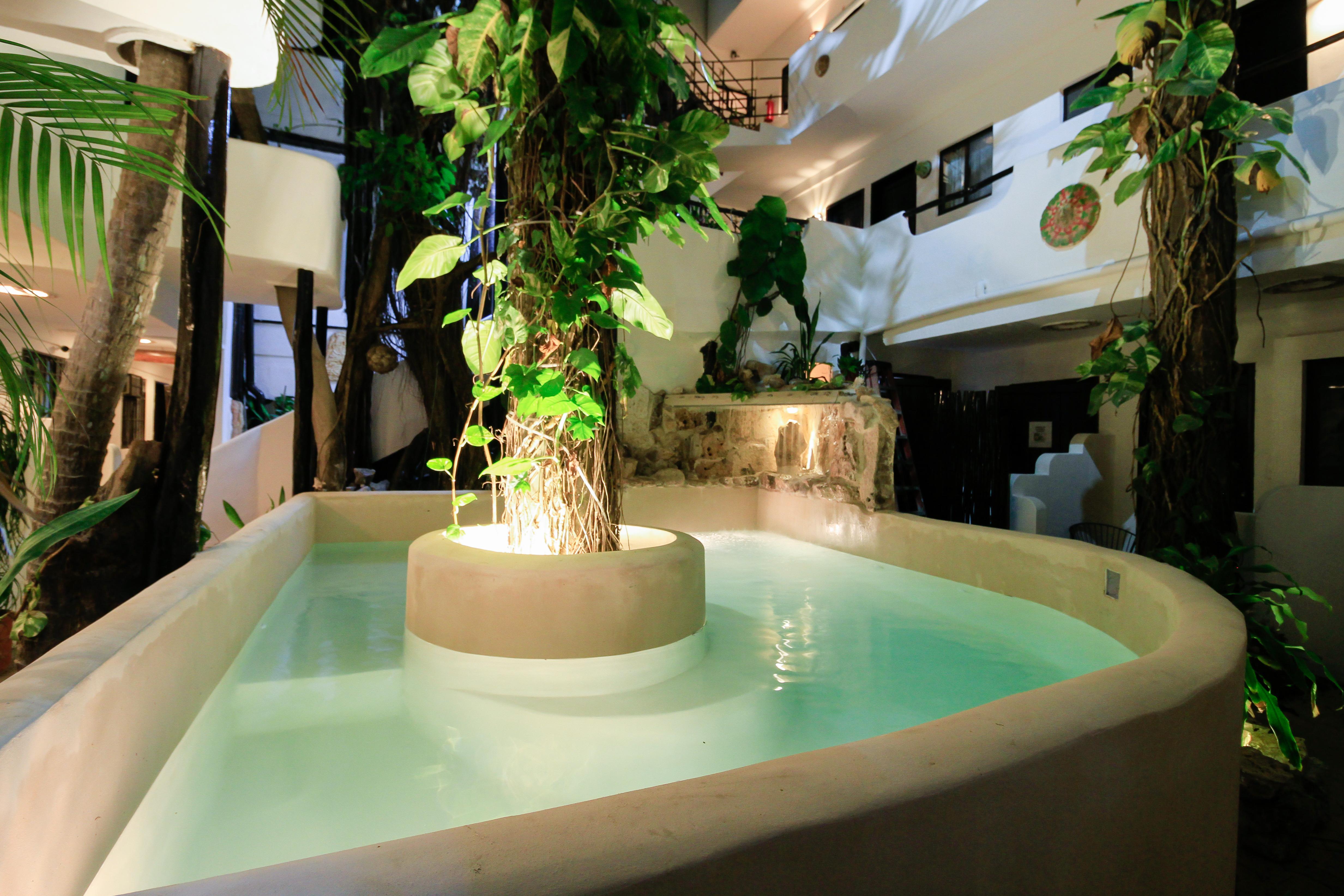 Moonshine Hotel Playa del Carmen Eksteriør billede