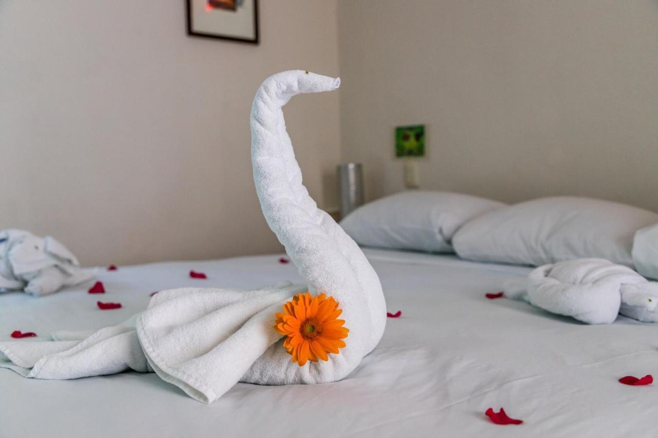 Moonshine Hotel Playa del Carmen Eksteriør billede