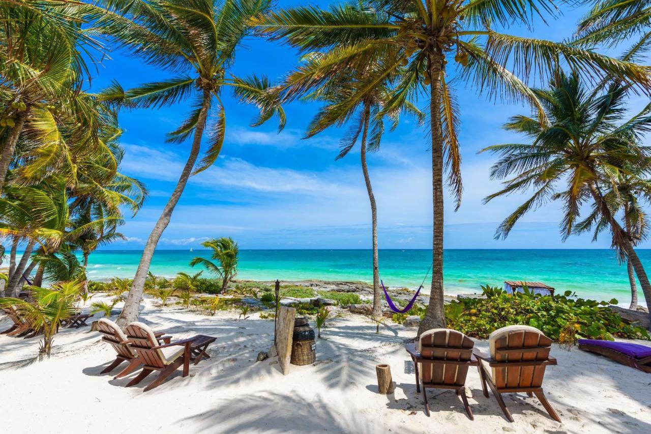 Moonshine Hotel Playa del Carmen Eksteriør billede
